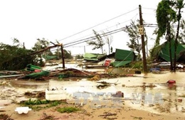 Công điện khẩn gửi MTTQ VN các tỉnh, thành phố ứng phó bão số 10 